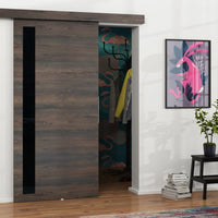 CABANA tolóajtó üveggel, 96x205x1,6cm, sötét hamu -  - 0